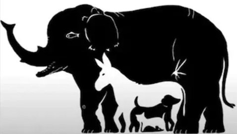 هل يمكنك تخمين عدد الحيوانات بالصورة؟ الجواب سيصدمك!