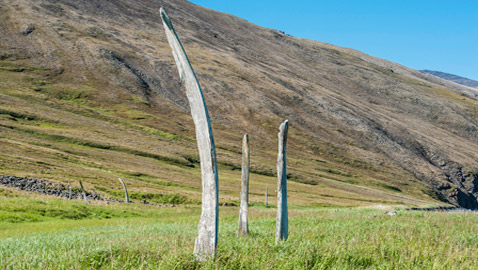 مرعب لكن سياحي.. 