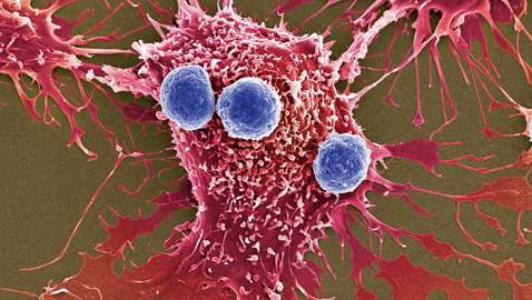 من بكتيريا التربة.. علماء يطورون طريقة 