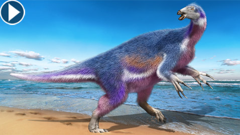 اكتشاف نوع جديد من الديناصورات في اليابان.. وهكذا بدا! فيديو