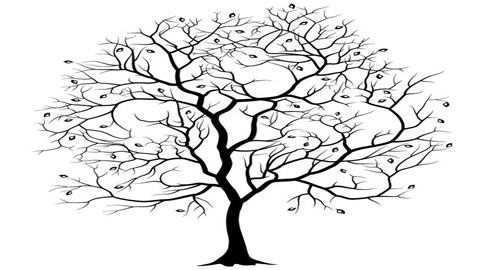 خدعة بصرية مدهشة: هل تستطيع تحديد عدد الأرانب بهذه الشجرة؟