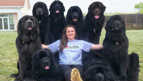 أخطر وأقوى 10 كلاب في العالم 2022