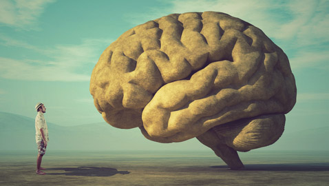 أدمغة البشر كانت أكبر حجما قبل 3 آلاف عام.. فهل كنا أكثر ذكاء؟