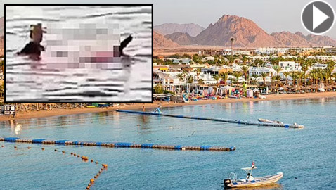 مصر.. إغلاق منطقة ساحلية بعد مقتل سائحة نمساوية بهجوم لقرش