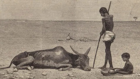 10 ملايين ضحية.. مجاعة قتلت ثلث سكان هذه البلاد
