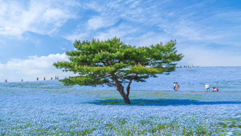 مصور يوثق مشهدا من بُعد آخر.. أين يقع هذا 