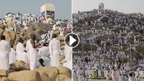 بالفيديو والصور.. الحجاج يتوافدون على عرفات لأداء ركن الحج الأعظم
