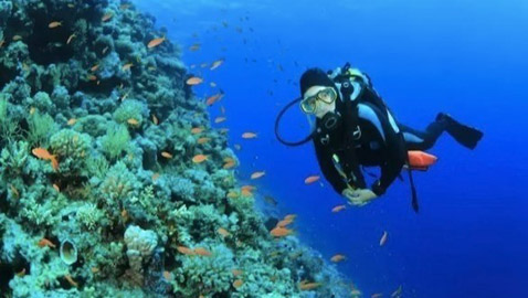 أفضل أماكن الغوص حول العالم