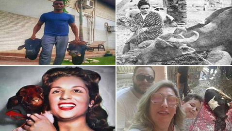 صور 17 فنانا قديما وحديثا مع خروف العيد منهم أم كلثوم، الشحرورة ومحمد رمضان