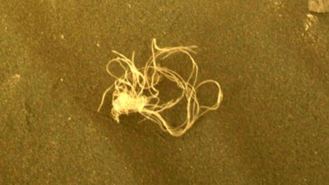 جسم غريب متشابك على المريخ يشغل العلماء.. هل هو معكرونة؟!