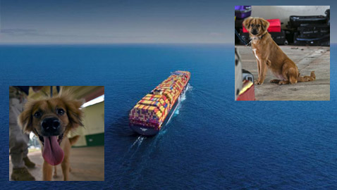 40 يوماً بلا أكل أو شرب.. صمود فريد من إسبانيا إلى بنما (صور)