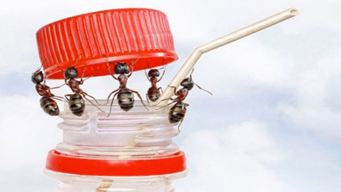  ! شاهد: أفضل صور للطبيعة لم يمسها الفوتوشوب