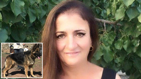 قتل زوجته بالمطرقة ودفنها بحديقة المنزل.. وكلب يكتشف الجريمة!
