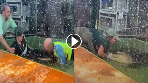 جذبها بأسنانه وكاد أن يبتلعها.. تمساح يهاجم عاملة بحديقة حيوان أمام أطفال