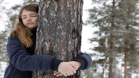 بطولة العالم لعناق الأشجار.. للعشق فنون وأحوال