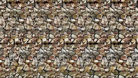 إذا خمنت ما داخل الصورة فإنك تملك حاسة سادسة!