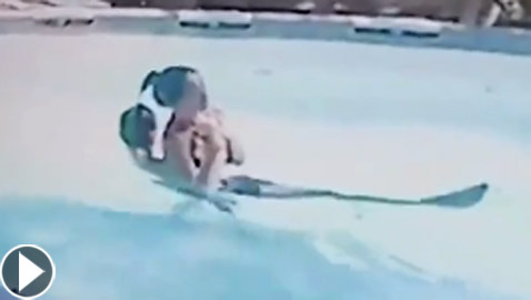 فيديو: طفل أمريكي بطل ينقذ أمه من الغرق في حوض السباحة