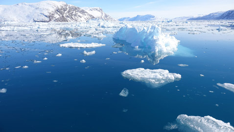 كارثة بيئية: علماء يكشفون 