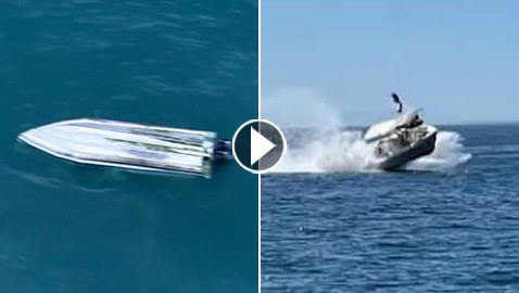 حادث اصطدام حوت بقارب في نيوزيلندا.. تسبب بمقتل 5 أشخاص