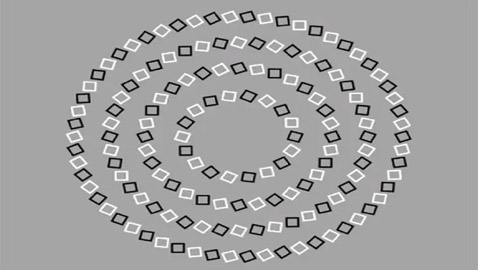 إذا أطلت النظر قد تصاب بصداع.. خمن عدد الدوائر في 12 ثانية