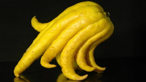 7 فواكه غريبة ونادرة لم تسمع عنها من قبل.. رقم 5 مفاجأة