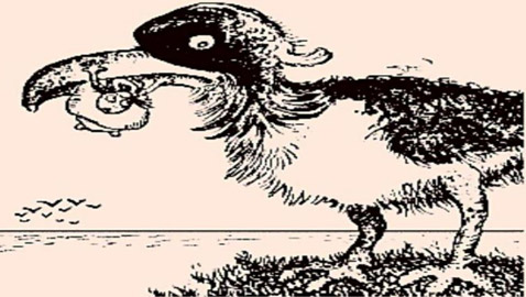 للأذكياء فقط.. حاول اكتشاف صورة الصياد في 11 ثانية فقط!