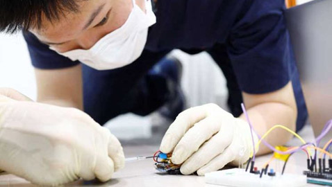 اليابان تستعين بالصراصير للبحث عن ناجين في الكوارث