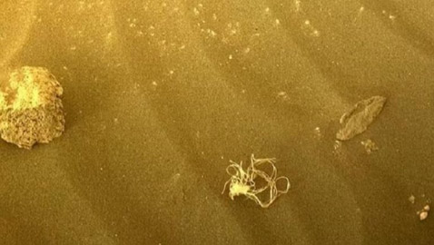 15 ألف رطل.. قمامة البشر على سطح المريخ