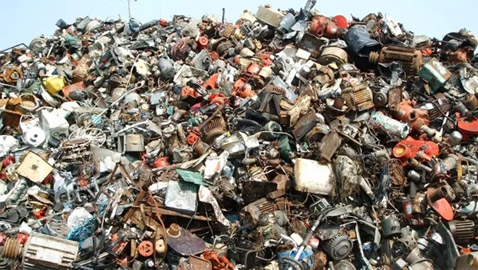 حدق بالصورة جيدا.. إذا رأيت القطة فأنت تتمتع بعيون نسر