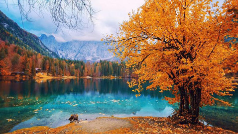 إليكم نصائح مهمة عند السفر في فصل الخريف