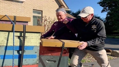 تستخدم النحل سلاحاً لمنع الشرطة من إخراجها من منزلها