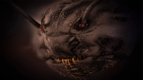صورة مقربة تثير الرعب.. لن تصدق أن هذا وجه نملة!