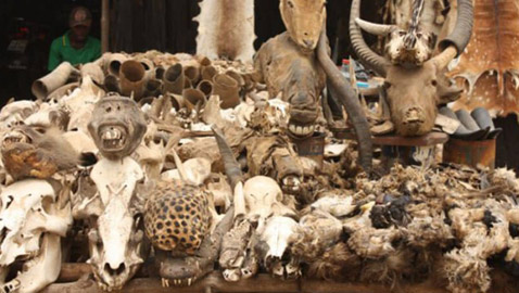 أسواق غير تقليدية حول العالم قد ترغب بزيارتها!