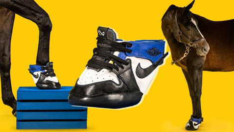 مقابل 1200 دولار فقط.. يمكنكم شراء حذاء رياضي لحصانكم! صور