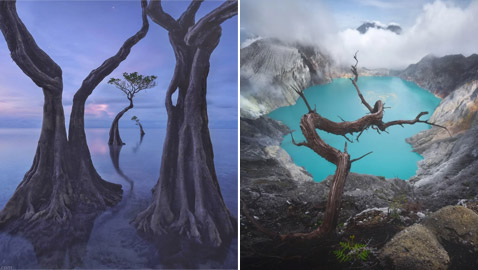 تبدو من كوكب آخر.. هل شاهدت 