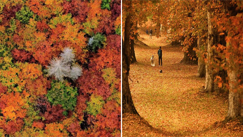 بالصور: فصل الخريف يجوب العالم.. مناظر خريفية بألوان خلابة