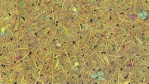 لديك عيون صقر إذا اكتشفت الإبرة في كومة القش بـ9 ثوان!