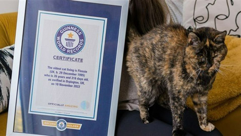 عمرها 27 عاماً.. تتويح 