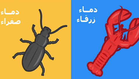 5 حيوانات تمتلك دماء ذات ألوان غريبة!