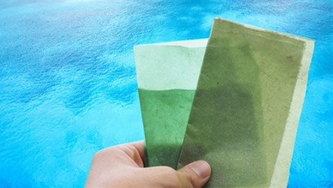 أغلفة قابلة للأكل مصنوعة من الأعشاب البحرية... حل بديل للبلاستيك