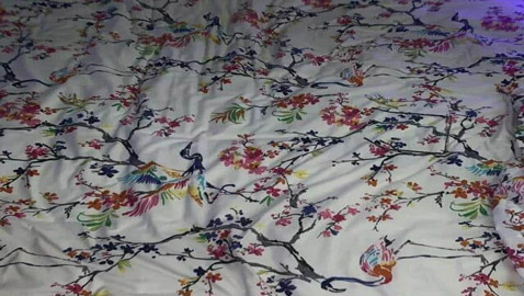 أين النظارات الطبية؟ فقط 10% عثروا عليها خلال 11 ثانية!