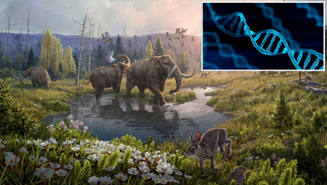 أقدم حمض نووي يكشف مفاجآت عالم غرينلاند المفقود