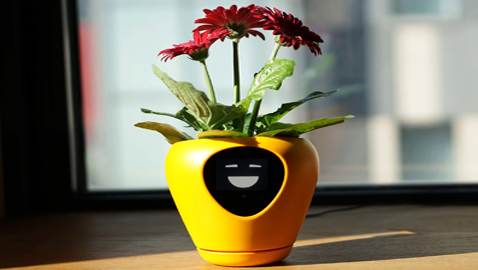 ابتكار أصائص زرع ذكية تحول النبات لكائن يُعبر عن احتياجاته! صور