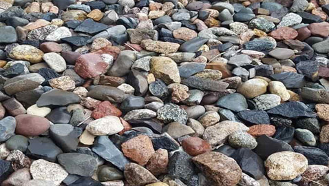 بين هذه الأحجار يختبئ ضفدع.. سنمهلك 11 ثانية لاكتشافه