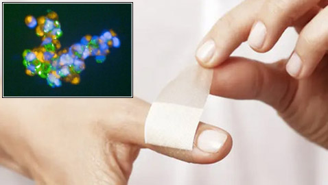 جديد العلم.. 