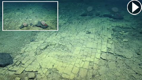 طريق مرصوف في قاع المحيط الهادئ.. مشهد يحير العلماء! فيديو
