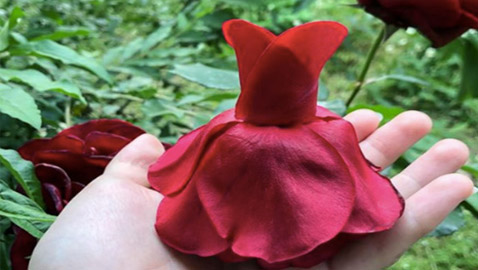 بالصور... فنانة تصنع فساتين مدهشة من الزهور