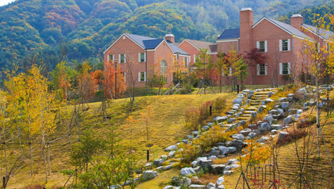 أسباب زيارة المملكة المتحدة في الشتاء