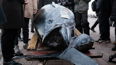 بأول مزاد في اليابان بـ2023.. بيع سمكة تونة بـ266 ألف دولار!