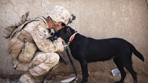 13 حقيقة عن الحيوانات تثير مشاعرك